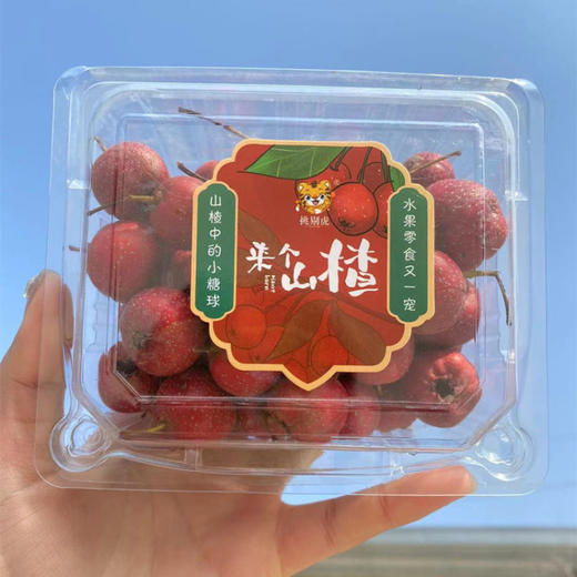 甜红子山楂 | 果香四溢 酸甜生津 细腻绵软 果形玲珑 颗颗精选 商品图9