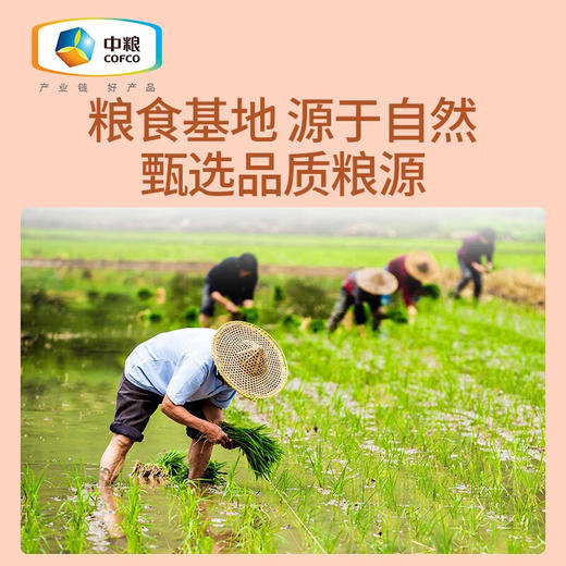 可益康每日杂粮粥礼盒1050g 商品图1