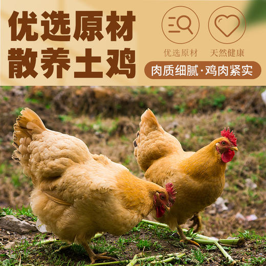 椒口赞·六六大顺新疆风味礼盒2190g（6款特色新疆美食） 美味大集合 尝遍新疆地道美味 商品图3