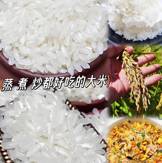 25年新米上市，中国地理标识产品，正宗核心产区五常稻花香米，谷粒现磨，米中贵族，皇家贡品有机认证，五常有机稻花香大米 原生态 不抛光 香味绵长 新米现磨  商品图1