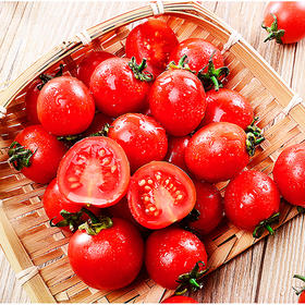 【鲜嫩爽口❗️山东千禧圣女果 】产地直发，成熟鲜果酸甜可口，新鲜时令水果，现摘小番茄，小西红柿圣女果L
