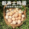【一周发一次】【竹林散养土鸡蛋】竹林散养刨刨鸡 蛋清浓稠 蛋黄密度结实 个头均匀 商品缩略图0