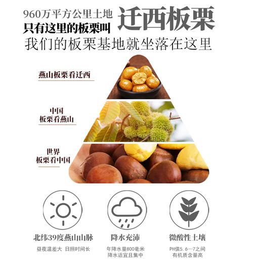严选 | 凤凰人家迁西即食有机板栗仁 50g*10袋 商品图4