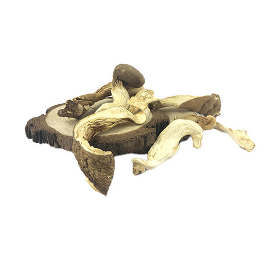 有机白蘑100g有机菌菇干货东北特产煲汤炒菜包邮 商品图6