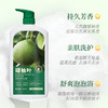 【买1送1❗️好运加持 碌柚叶沐浴露】持久芳香，亲肤洗护，舒爽泡泡浴！香氛氨基酸抖音爆款清香净透柚子叶芳香水润清爽正品 商品缩略图3