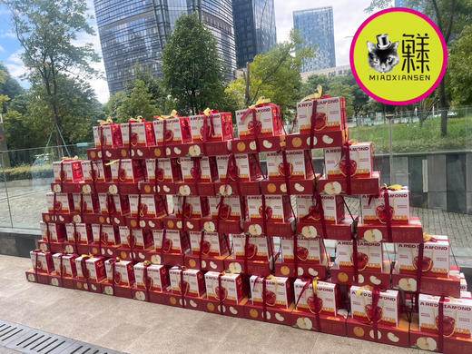 【苹安秋月盒】双层水果塔（红钻小苹果+小件秋月梨） 商品图2