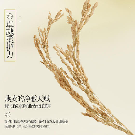 **国韵温和净澈洁颜蜜120ml，温和净澈 洗卸合一，送温和净澈洁颜蜜15ml*2 商品图2