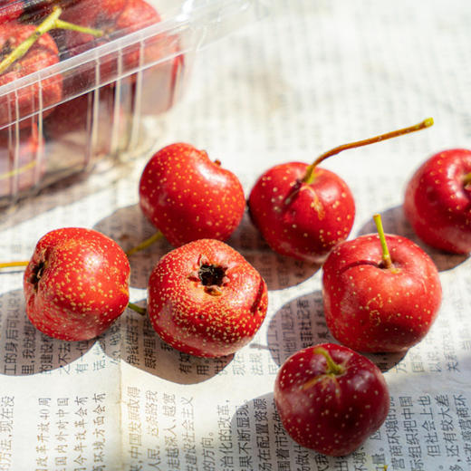 甜红子山楂 | 果香四溢 酸甜生津 细腻绵软 果形玲珑 颗颗精选 商品图2