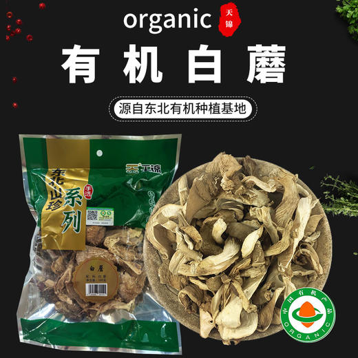 有机白蘑100g有机菌菇干货东北特产煲汤炒菜包邮 商品图0