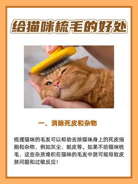 90%的人都不知道，给猫咪梳毛的好处