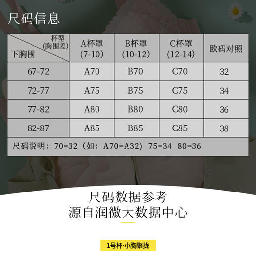 淡写清欢 文胸(VIP)【小胸专用 一穿就聚】小胸显大聚拢无钢圈调整型文胸 商品图6