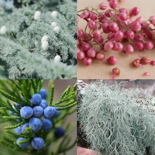 MAT KURO香水津蕨之森葡芥绮纱琼宵水仙伽罗苔松夕烬紫藤 商品图3