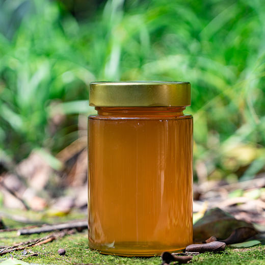 包德安 华蓥山土蜂蜜500g*1瓶【够意思】 商品图3