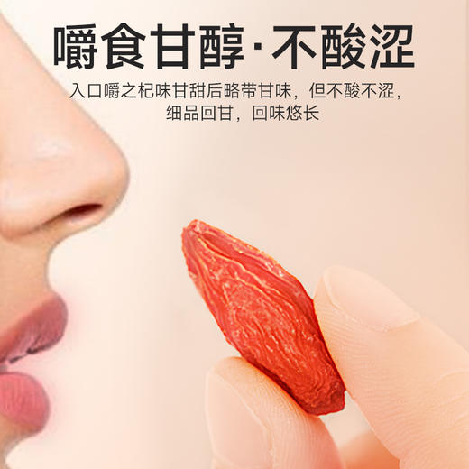 罐装红枸杞 商品图4
