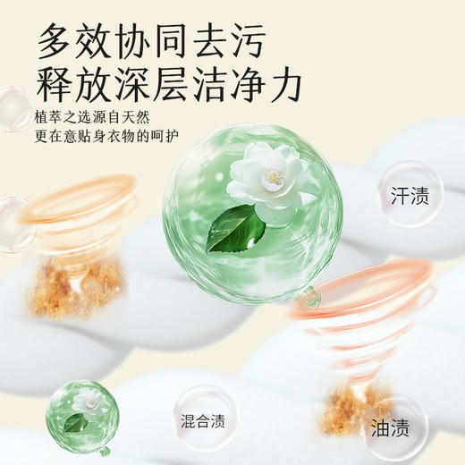 「5.2斤大包装！山茶花香」山茶花洗衣液5.2斤装居家日用实惠装留香衣物清洁工具 商品图3