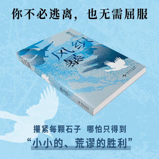 织风暴 商品图3