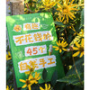 有趣不花钱的45个自然手工 商品缩略图1