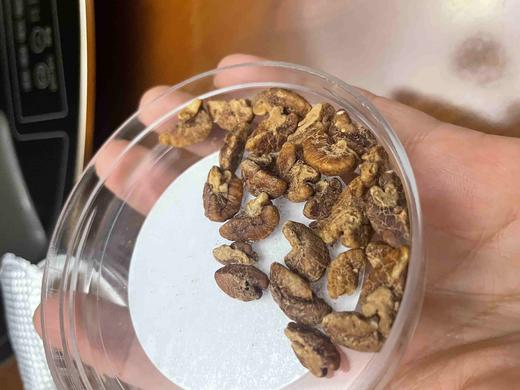 临安山核桃 2025新货 商品图1