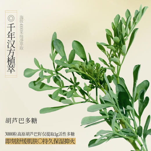 **国韵温和净澈洁颜蜜120ml，温和净澈 洗卸合一，送温和净澈洁颜蜜15ml*2 商品图4