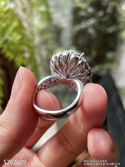 冰艳绿蛋面戒指【5262609】具体价格微信咨询 商品图5