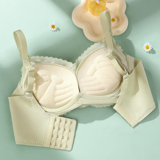 淡写清欢 文胸(VIP)【小胸专用 一穿就聚】小胸显大聚拢无钢圈调整型文胸 商品图1