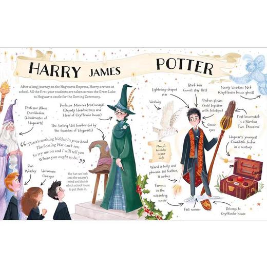 哈利波特小指南 3本精装 英文原版 Pocket Potters Little Guides to The Harry Potter Stories J K Rowling 商品图4