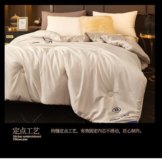 【一夜好眠的秘密🛌】希尔顿逸林同款蚕丝棉被✨四季适用，享受酒店级奢华睡眠❄️☀️匠心工艺不跑棉，舒适保暖不闷热！ 商品图1