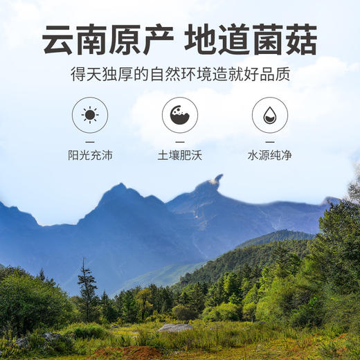 方家铺子 羊肚菌60g/瓶装 商品图6