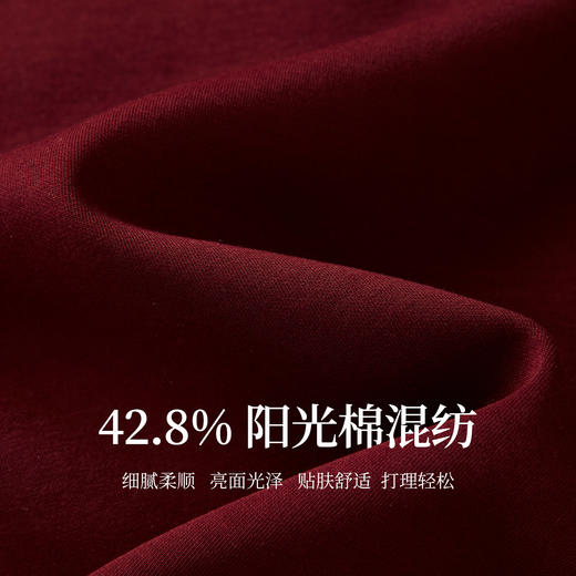 【10/1新品】熙世界朗姆酒红假两件卫衣女2025秋装新款复古撞色格纹POLO领上衣 商品图2