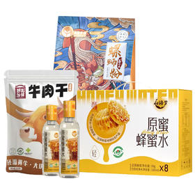 臻养家休闲绝配M100-2519