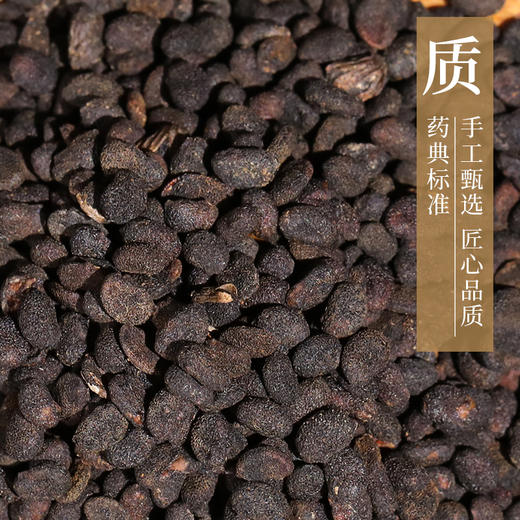 补骨脂 康美中药饮片 独立小包装 商品图2