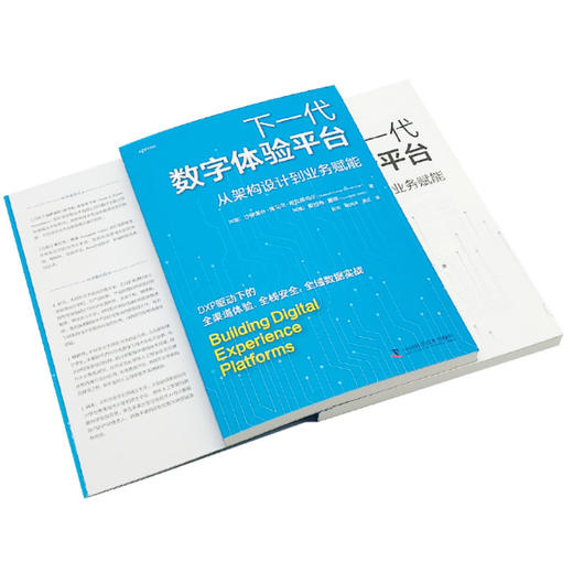 下一代数字体验平台：从架构设计到业务赋能 商品图4