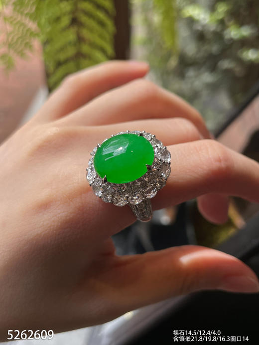 冰艳绿蛋面戒指【5262609】具体价格微信咨询 商品图3