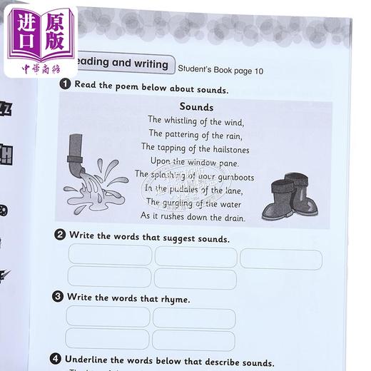 【中商原版】Collins International Primary English  Workbook 2 柯林斯国际小学英语练习册2 英文原版 剑桥小学英语 商品图3