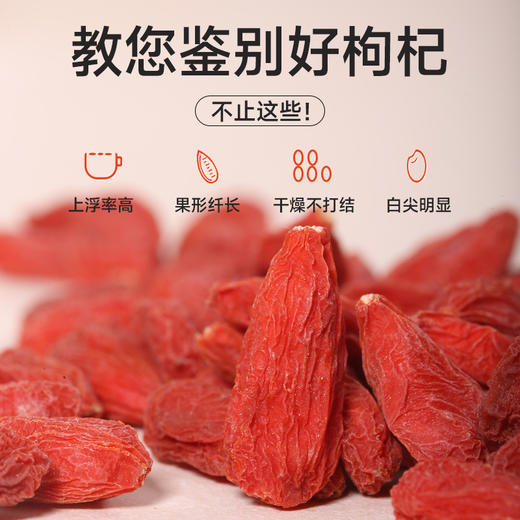 罐装红枸杞 商品图10