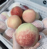 新鲜水果 甜蜜多汁雪桃 6.8元/斤 4斤装（称重退差，多退少补） 商品缩略图1