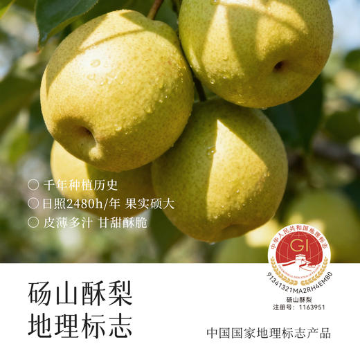 寻普康砀山纯梨膏，国家地理标识产品，砀山直采；30斤梨熬制一斤梨膏。保留原汁原味营养成分，润肺止咳~ 商品图3