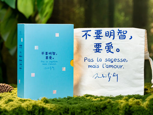 《人性五重奏：纪德文集》（全5册）| 一次收录“诺奖天才”5部封神之作，典藏函套，名家译作，带你通往幸福“窄门”，从此热烈自由地活 商品图10