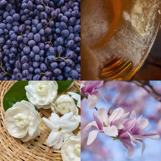 MAT KURO香水津蕨之森葡芥绮纱琼宵水仙伽罗苔松夕烬紫藤 商品图4