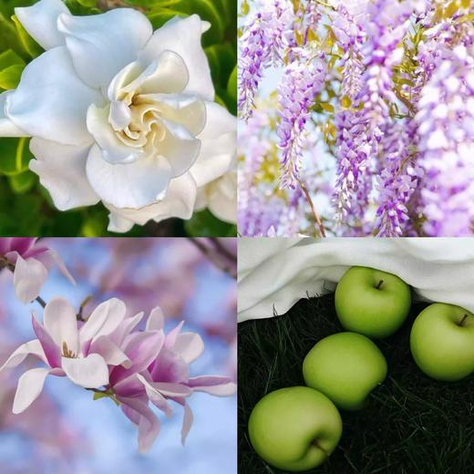 MAT KURO香水津蕨之森葡芥绮纱琼宵水仙伽罗苔松夕烬紫藤 商品图1