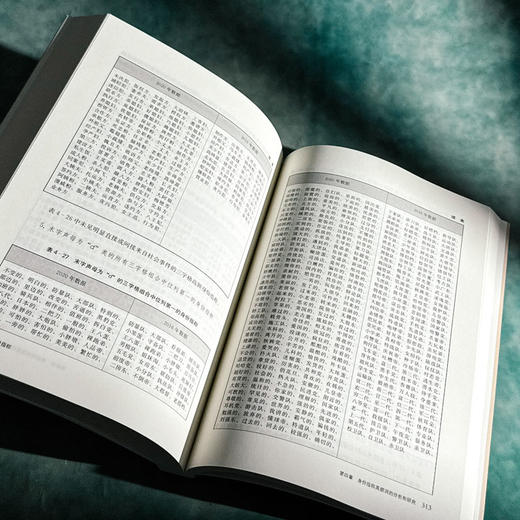 何为身份指称 金志军 语言研究 社会语言学 当代汉语语言生活 商品图12