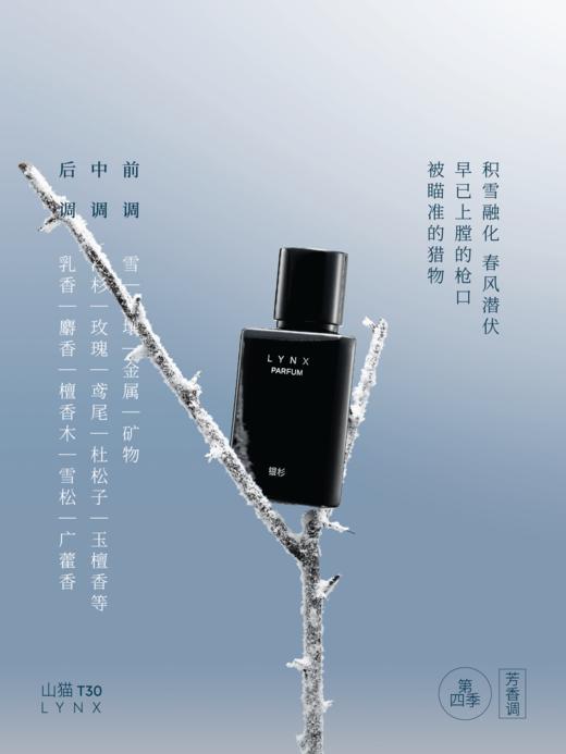 「银杉」山猫香水（第四季）疏离感冷香 30ML 商品图2