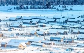 【绝色新疆-冰雪阿勒泰8日】喀纳斯 禾木 将军山夜滑 魔鬼城   冰雪北疆之旅（价格为定金）