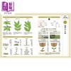 【中商原版】美丽的杂草花图鉴 日文原版日韩 美しい雑草の花図鑑 商品缩略图4