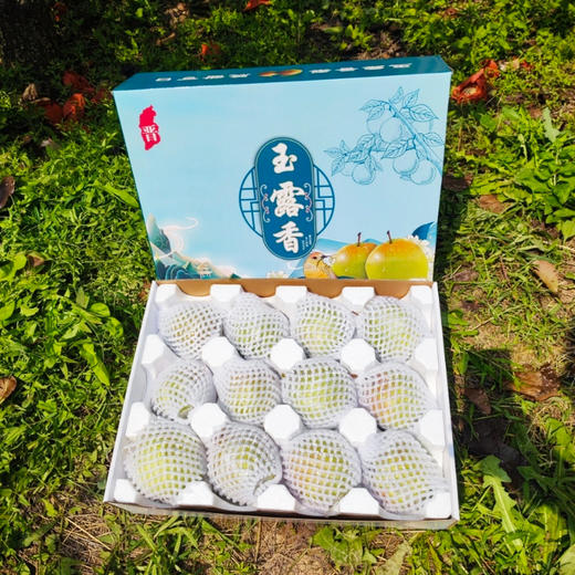 优选丨【香甜爆汁！】山西玉露香梨 4.5斤/8.5斤礼盒装 个头饱满，果肉嫩、汁水多、皮薄核小，脆甜爽口 商品图3