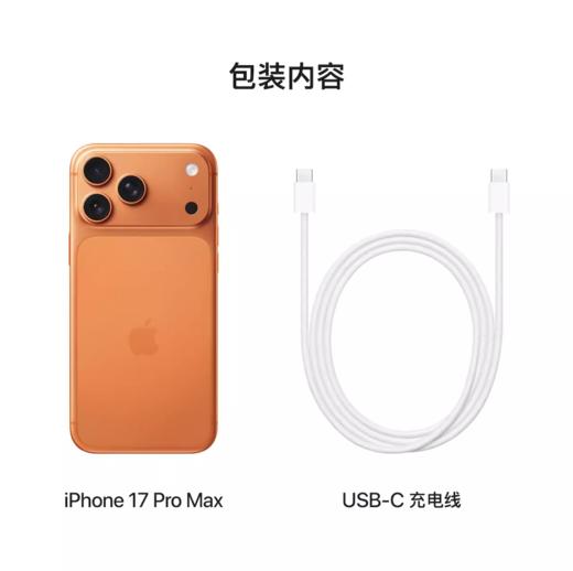 iPhone 17 Pro Max【到店自提时需激活设备】 商品图7