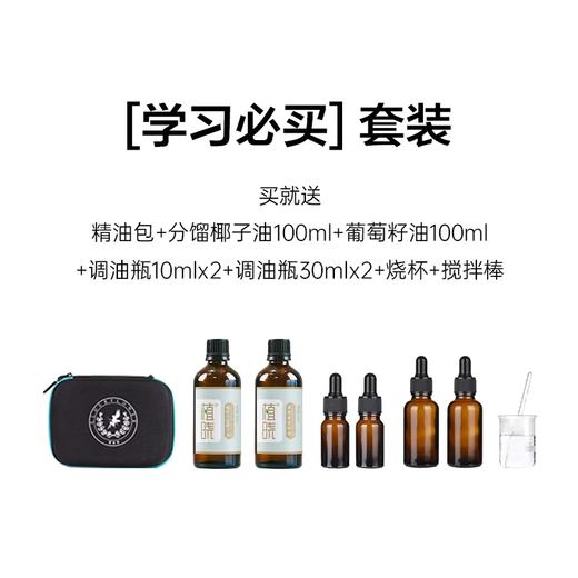 IFA学习必买 商品图3