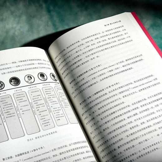 今日幼儿教育 第15版 教育治理与领导力丛书 王定华 商品图10