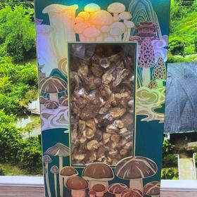 林中宝姬松茸128g