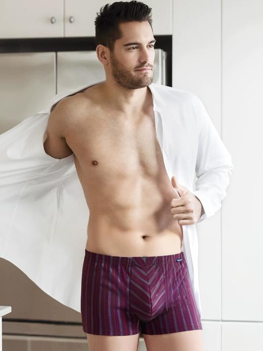 【超细莫代尔】SCHIESSER高端铂雅93%超细莫代尔 7%氨纶 中腰平角小裤180克  99/25790T 商品图2